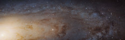 allyspock:  ohstarstuff:  Sharpest View of the Andromeda Galaxy, Ever. The NASA/ESA Hubble Space Telescope has captured the sharpest and biggest image ever taken of the Andromeda galaxy — a whopping 69,536 x 22,230 pixels. The enormous image is the