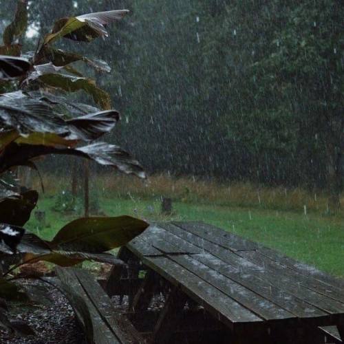 ur-daily-inspiration:  sound and smell of the rain
