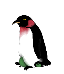 piscosos:  The quest of penguin Zoro continues.  OH MY GOD. *DIES OF LAUGHTER* CAN I ADOPT THEM BOTH?!
