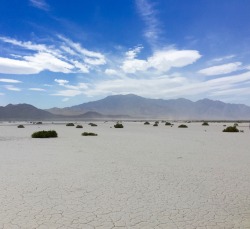 Nevada Dry Lake 