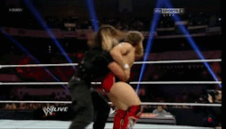 Seth Rollins vs. Daniel Bryan 