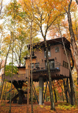 magicalhomesandstuff:  Luxurious Connecticut treehouse.Beautiful living room doesn’t even look like it’s in a treehouse.Bedroom with luxury bath. https://www.winvian.com/cottages/