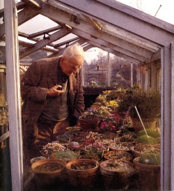 leirelatent:  Here is a picture of J.R.R. Tolkien looking at some flowers in a  greenhouse. Apparently, he was the worst person to take walks with  because he liked to stop and observe every tree he passed very  carefully. We can only assume that he did
