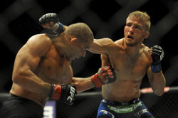 ufcmmapictures:  UFC 177: TJ Dillashaw vs