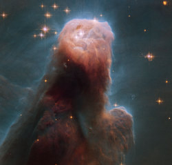 astroperlas:  La Nebulosa del Cono vista por el Hubble (NASA/ESA/STScI).