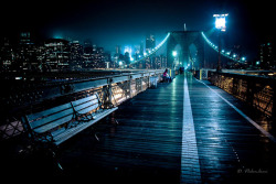cityneonlights:  photographer | cityneonlights  I would go wherever you go.