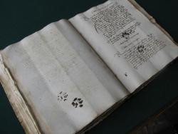 forestfairyy:  Has your cat ever walked across your keyboard? Well, it’s not a new problem. Medieval book historian Erik Kwakkel recently Tweeted this photo of a 15th century book with… you guessed it… cat paw prints in ink on the pages! We’re
