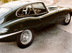 alfrikskinks:  megadeluxe:  Jaguar E-Type