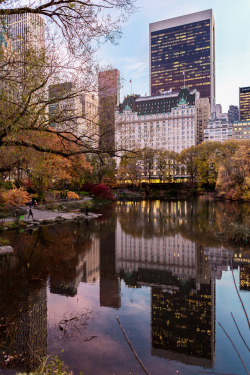 r2&ndash;d2:  Central Park in the fall 