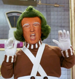daimio-panda:Oompa loompa doompety dooI will make a perfect wall for youOompa loompa doompety deeIf you are foreign don’t come with me🎶