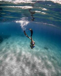 spearfishing-freediving-world:  Cool😘👍 By @alialfarom 📷@heald   follow us 👇👇👇👇👇👇 @spearfish.and.freedive.world . . . . . . . #florida #westernaustralia #seeaustralia #australia #maldives #miami #costarica #photography #ocean