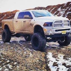 liftedtrucks:  My other blog: www.cuntrycuties.tumblr.com Please follow me there as well if you like country girls as much as lifted trucks!