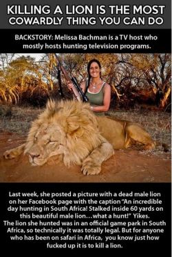 aggressica:  This is important. Stop big cat hunting. This literally is making me cry.  The way the lion tries to shut out the light… :Why would you shoot it? 