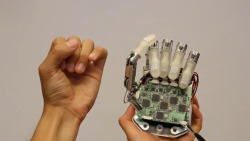 neurosciencestuff:  NEBIAS: The world’s most advanced bionic hand A prosthetic hand, which provides a sense of touch acute enough to handle an egg, has been completed and is now exploited by the NEBIAS project after 10 years of EU-funded research. The