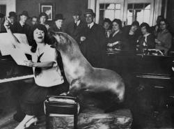 weirdvintage:  Mr. Macfrisco, the singing sea lion, has a singing lesson, 1926 (via) 