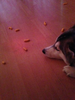 Foreverinmypoisonarms:  She’s Protecting Her Wotsits From Lyall. 
