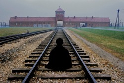 visiodominum: Auschwitz, Birkenau.Steve McCurry