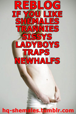 shemalesrgreat:  dayhack20:  douglaskii:  slippery4me:  makesissys:  hq-shemales:  HQ shemales @ tumblr  Reblog if you like shemales, trannies, sissys, ladyboys, traps, newhalfs   Had to fuking luv them  yes, yes, yes…  i do!    :D  Yes but, what