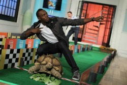 frantzfandom: awisemanoncesaidnothing:  Usain Bolt posing with his winning tortoise at a tortoise race  are you telling me the fastest man in the world spends his free time racing slow ass animals 