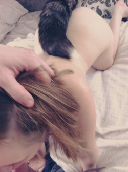 naughty-little-pet:  Tails &lt;3 specialkay-69