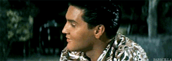 previouslyzaynhell:  Elvis in Blue Hawaii (1961).