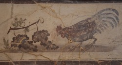 lionofchaeronea: A rooster pecks at grapes.  Fresco from Pompeii; now in the National Archaeological Museum, Naples.  Photo credit: Carole Raddato.