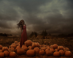 bisexualpiratequeen:  The Harvest by Patty Maher on Flickr. 