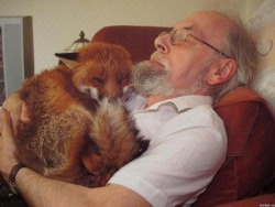 ydrill:  Mike Trowler and the fox he saved from a severe dog fight. And they lived together ever after. 