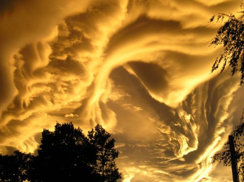 awkwardsituationist:  asperatus clouds via porn pictures