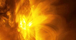 astronomicalwonders:  sci-universe:  This is the first significant solar flare of 2015, spotted by NASA’s Solar Dynamics Observatory on Monday night (Jan 12). The mid-level solar flare triggered a short radio blackout for some parts on Earth.  check