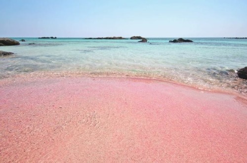 passivites:Eroded particles from red corals has given this beaches sand a pinkish glow.