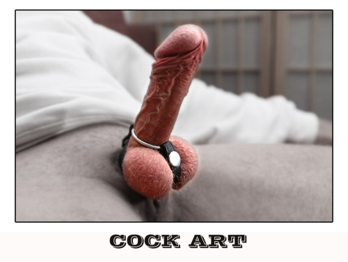 Porn Pics my cockrings