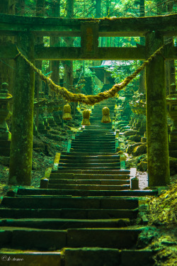 lifeisverybeautiful:    Kumanoza shrine, Kumamoto, Japan via 熊野座神社 PHOTOHITO