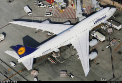 aviationgreats:  Top down view of a Lufthansa