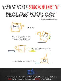 cats-weed-sleep:  scratchingpad:  Why Declawing is a Bad Idea (An 1-minute guide) Read More  THANK YOU 