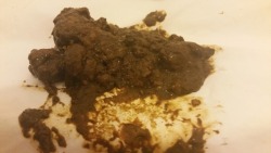 piggybuttslut:  Sometimes extra sloppy and squelchy chocolate pudding comes from my gaping pighole… it smells bad, it tastes bad… but it feels amazing when it’s slathered all over my fat piggy body. 🐖💩