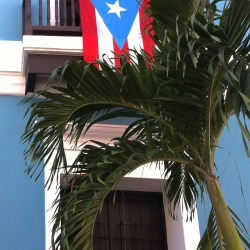 fotosdemicamara:  Qué bonita bandera, qué bonita bandera es la bandera puertorriqueña.   Tomada por: Edwin Rodríguez Burgos fb.com/edfotoart