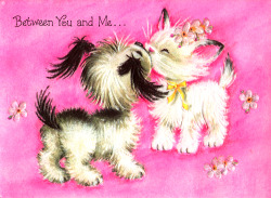 thegroovyarchives:Vintage Coronation Dog &amp; Cat Friendship Greeting Card