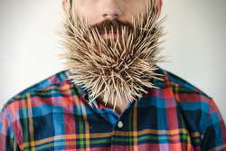 brain-food:  Photographer Stacy Thiot’s Tumblr project, Will It Beard, involves her husband’s beard and sticking as many unusual things as she can find in the thick thicket of facial hair—and then taking photographs of it.