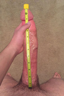 befan:  My lubed up 13 incher! Took me a while, but I figured out how to hold the type measure on top since so many of you requested a full measurement.Reblogs &gt; Likes!See more of just pics: https://befan.tumblr.com/tagged/meSee more of everything: