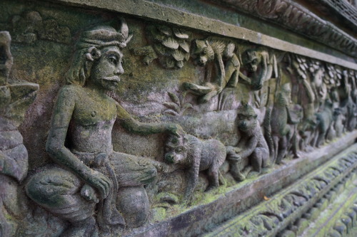 The Monkey Forest in Bali, Indonesia http:///www.fascination-st.tumblr.com