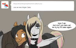 OH MY GOD OH MY GOD!!! MY ASK WAS USED!!!!!!!! *Knight has a heart attack*  (I love this artist!!! and I LOVE COLORIDO!!! He is my FAVORITE sj8tr pony!!! )