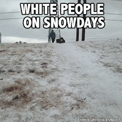 nocturnalthug:  cerealxcartoons:  madeupmonkeyshit:  White people on snowdays vs Black people on snowdays  😂  nailed it 
