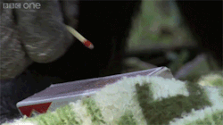 daughterofprometheus:  onlylolgifs:  Bonobo builds a fire and toasts marshmallows   50 years later…. 