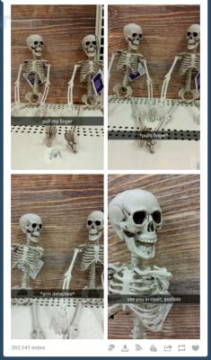 crumbled-paper-hearts:  Tumblr + Skeletons in October