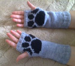 otherkinfashionunder20:  fingerless paw gloves - ฟ.77 buy them here! (they come in different colors!)