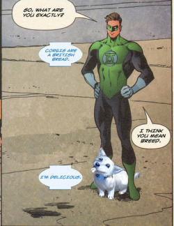 reflexone: have-mercy-i-am-trash:  cyrilthewolf:  Always reblog Hope Corgi.   One of DC’s shining moments  I don’t follow GL stuff close enough to know if Dex-Starr and Hope Corgi have ever met… 