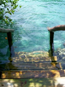 hipster-trichster:  sneakyfeets:  angry-shaman:  sneakyfeets:  ill-icarus:  sneakyfeets:  metztlixochitl:  Our little house in El Salvador has steps like this leading into the ocean :3 when the tide is low, you can step down onto the beach. When the tide