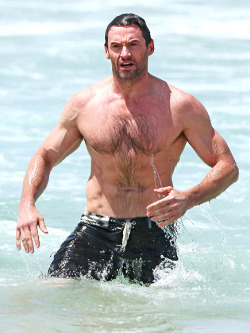 adam2adamtn:  SEXY CELEBRITY SIX-PACKS (#5 of 13) HUGH JACKMANMaintaining his Wolverine physique, Hugh Jackman works out in the Bondi Beach surf in his native Australia during a holiday break. 