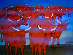 scoobydoomistakes:    Bill the Animator: “Oh, crap. Ted, we’ve got a problem.”  Ted the Animator: “What? What’s wrong?!”  Bill the Animator: “I drew all the cattle, but Frank just handed me the background, and it’s mostly sky!”  Ted